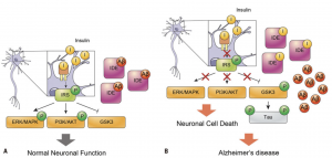 https://www.ncbi.nlm.nih.gov/pmc/articles/PMC6255119/