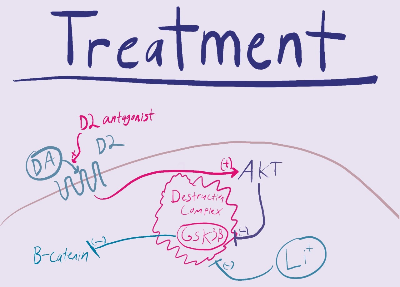 Describes the molecular pathways of treatment for schizophrenia