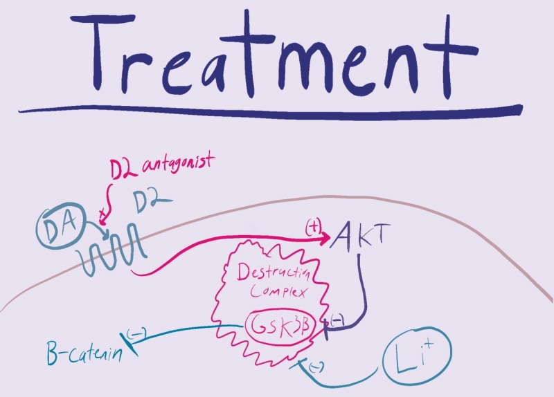 Describes the molecular pathways of treatment for schizophrenia