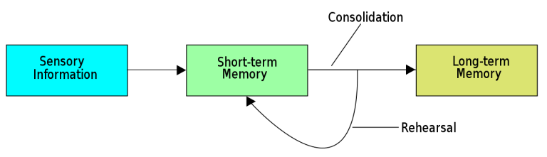 Environmental Impact on Memory Consolidation during Sleep – Cobbers on ...