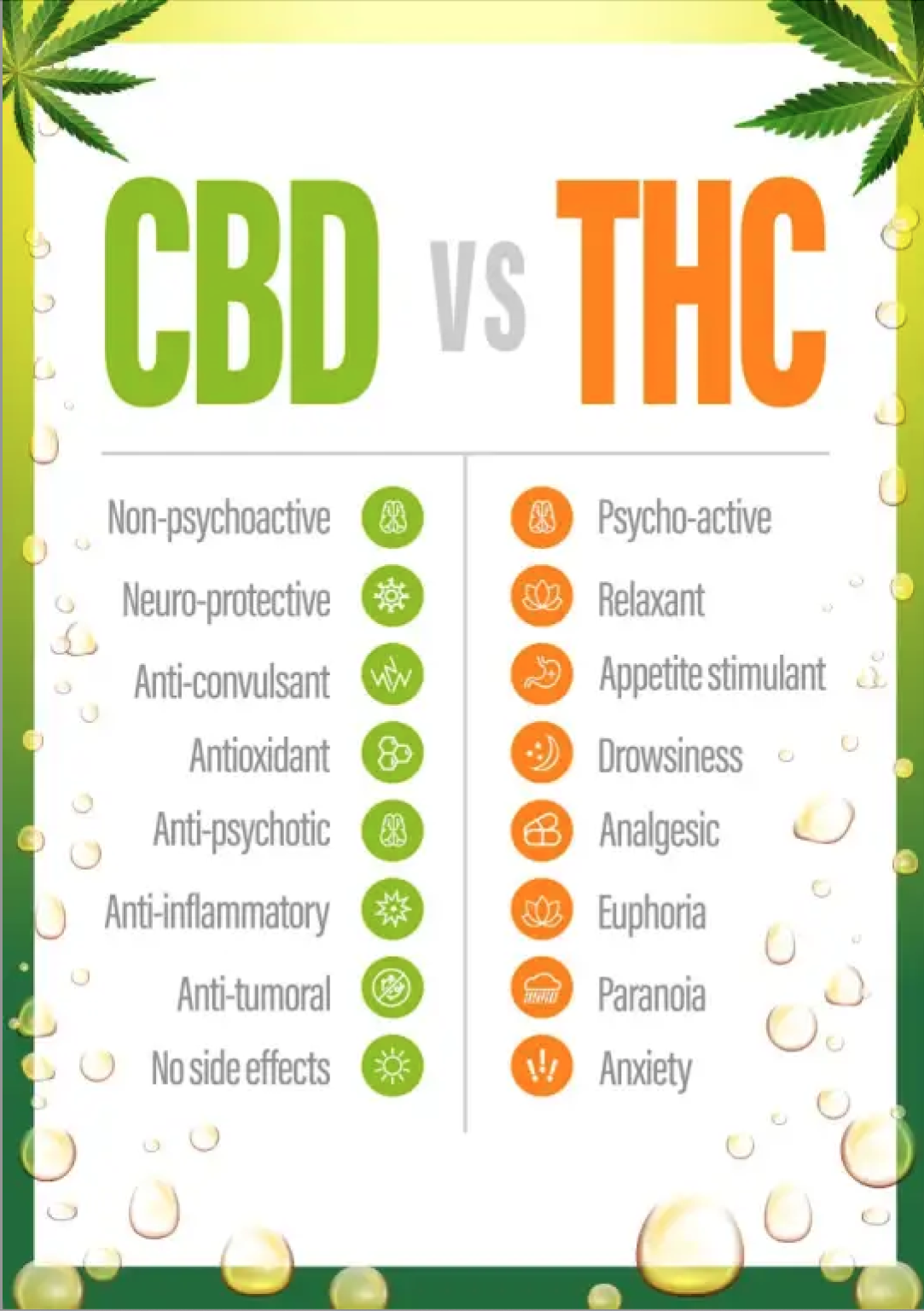 cbd-effects-benefits-downsides-dosage-and-warning-cbdoileco