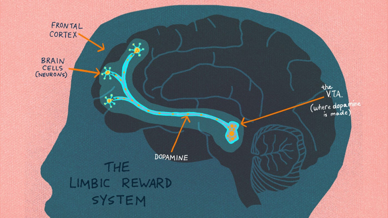 Hijacked Happiness: How Addiction Rewires the Brains Reward System ...